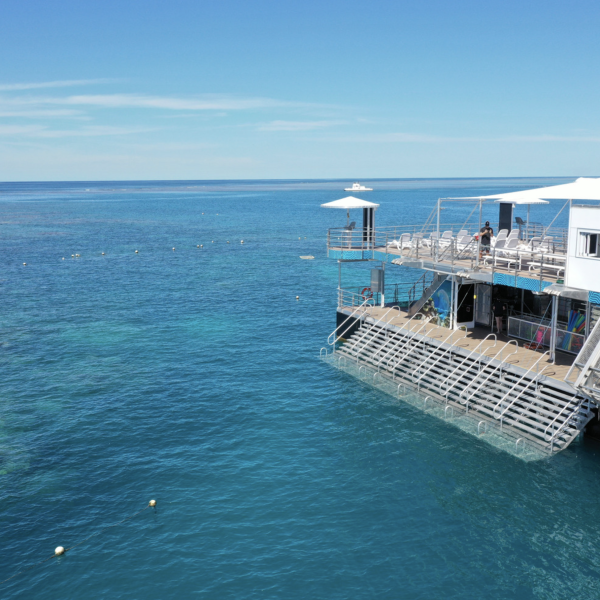 Reef Magic Pontoon | Escape the crowds | Great Barrier Reef